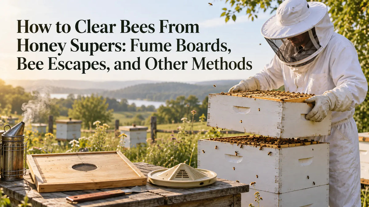 How to Clear Bees From Honey Supers and Fume Boards