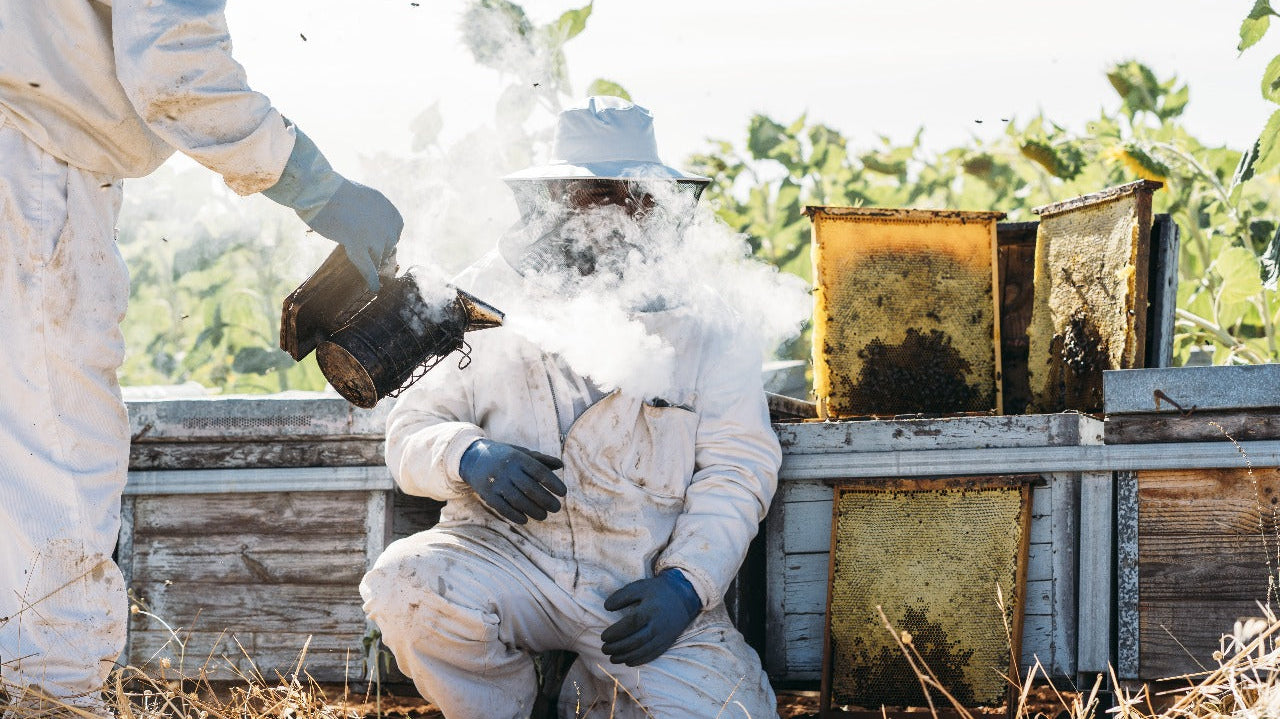 The Science Behind Beekeeping Smokers: How Smoke Affects Honeybees