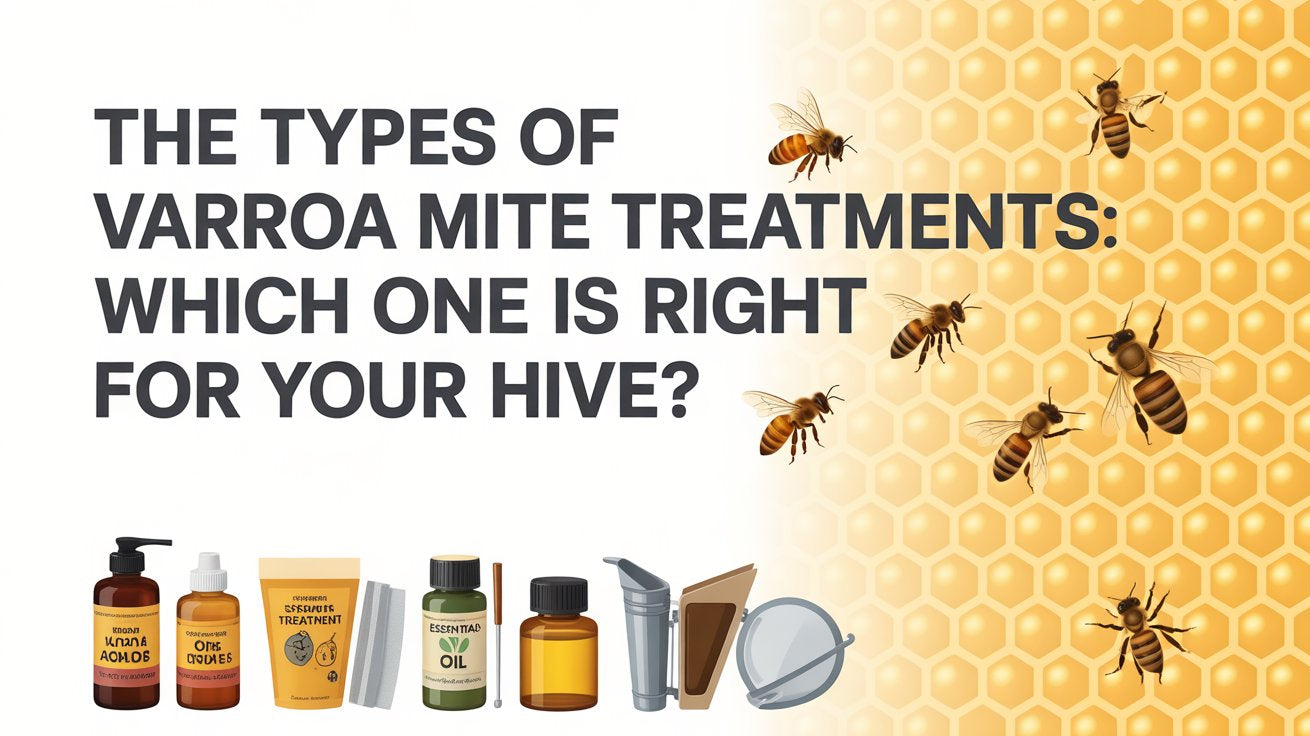 The Types of Varroa Mite Treatments