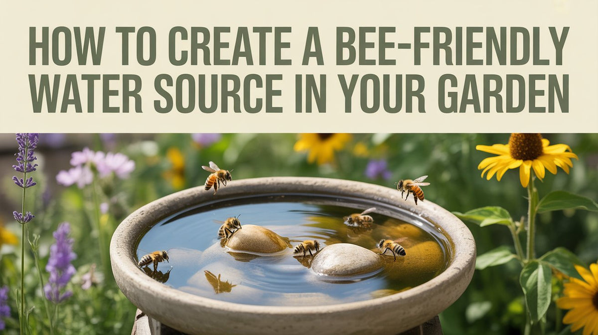 Comment créer une source d'eau favorable aux abeilles dans votre jardin — free download