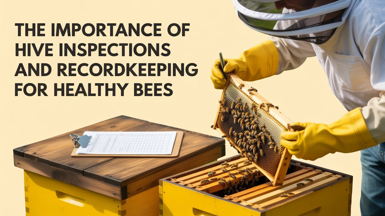 The Importance of Hive Inspections
