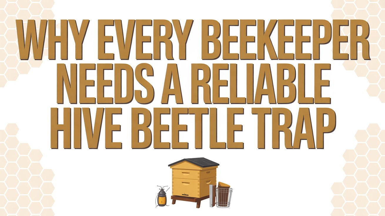 Beekeeper Hive Beetle Trap