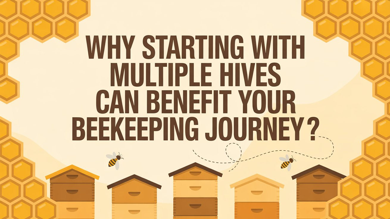 Starting With Multiple Hives
