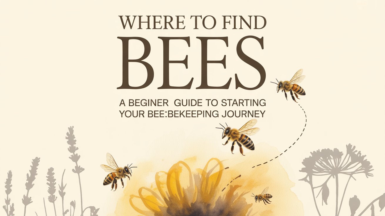 Where to Find Bees