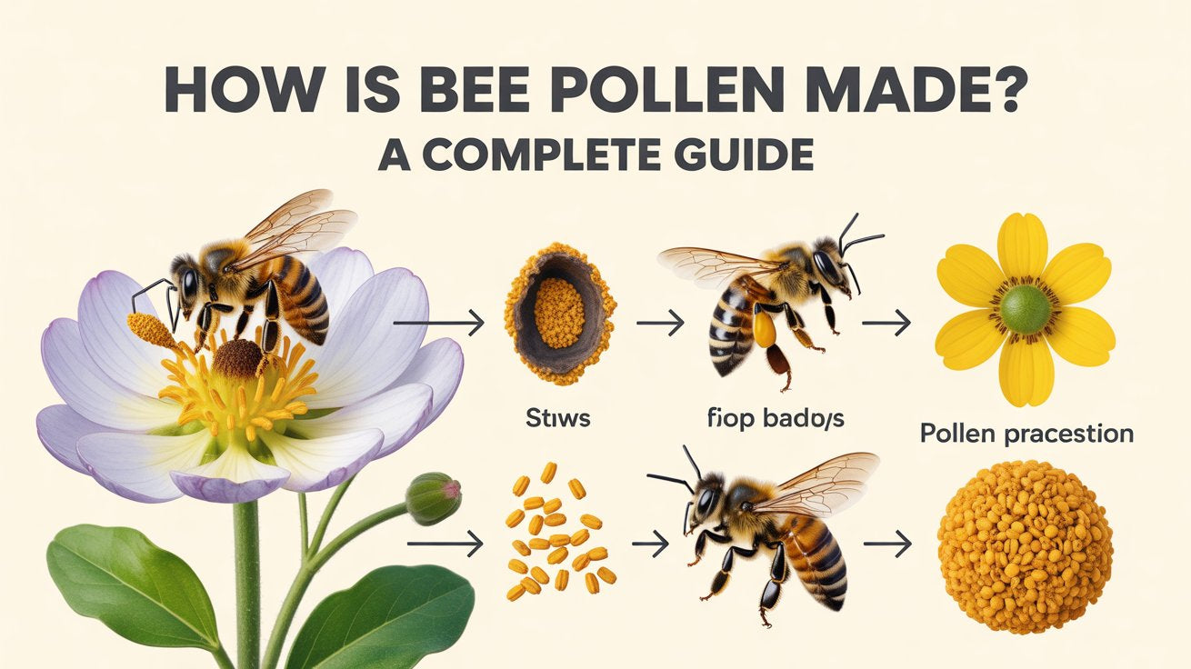 Bee Pollen Made