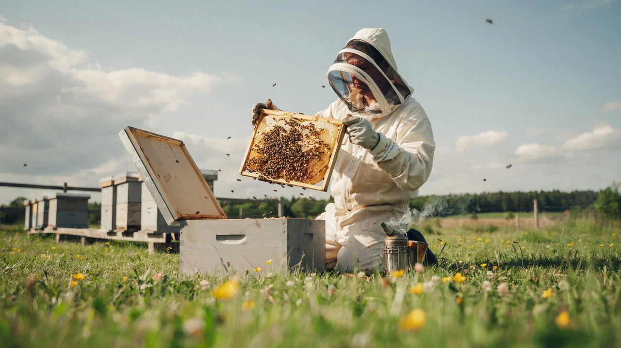Beekeeper’s Step-By-Step Guide to Verifying Life