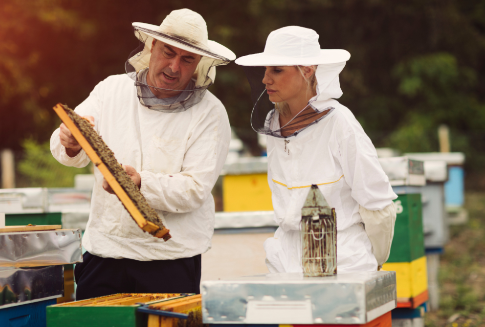 The Buzz on Beekeeping Equipment: What Do Beekeepers Wear and How Does it Work?
