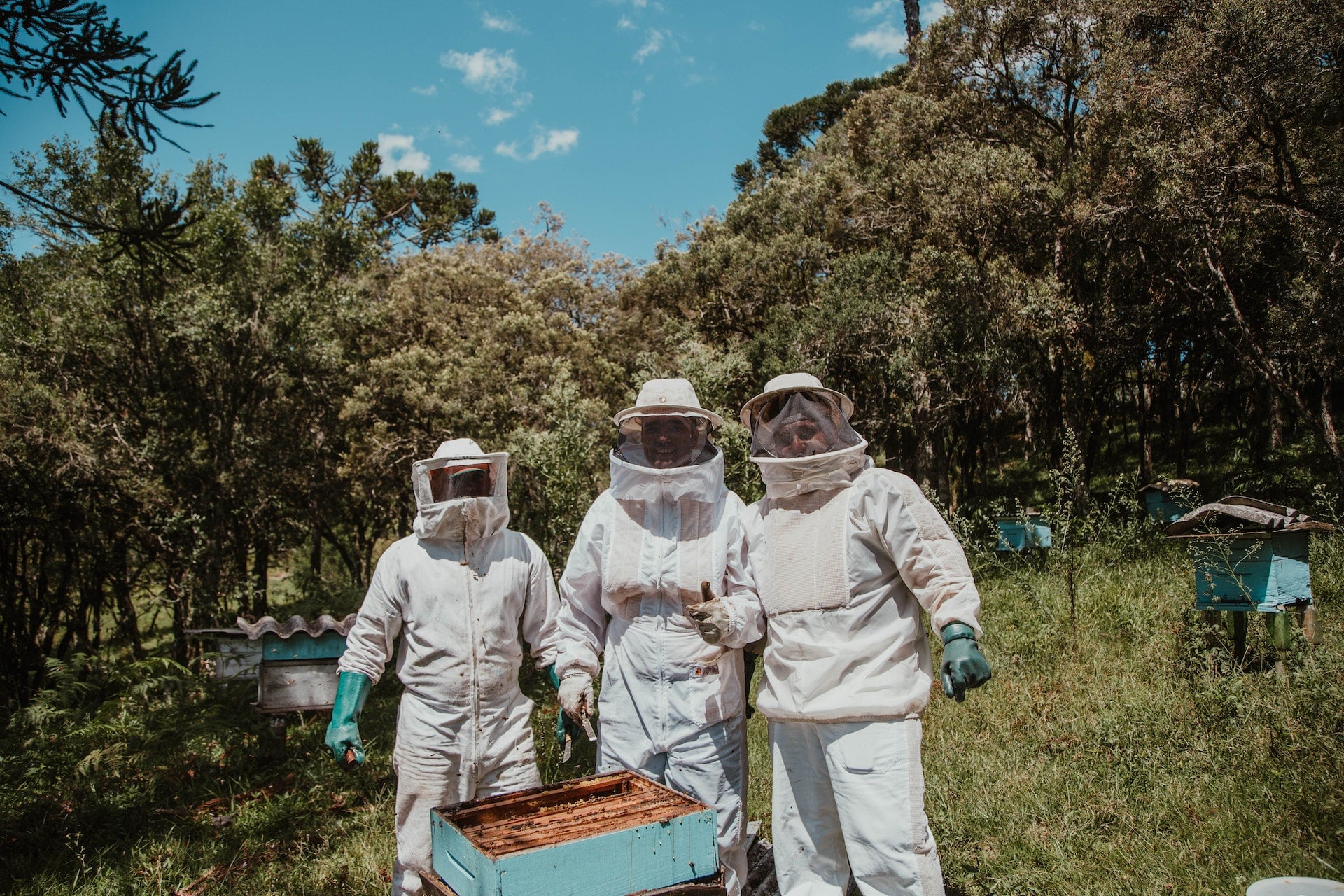 How Much Does a Beekeeping Suit Cost?