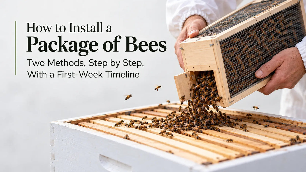 How to Install a Package of Bees