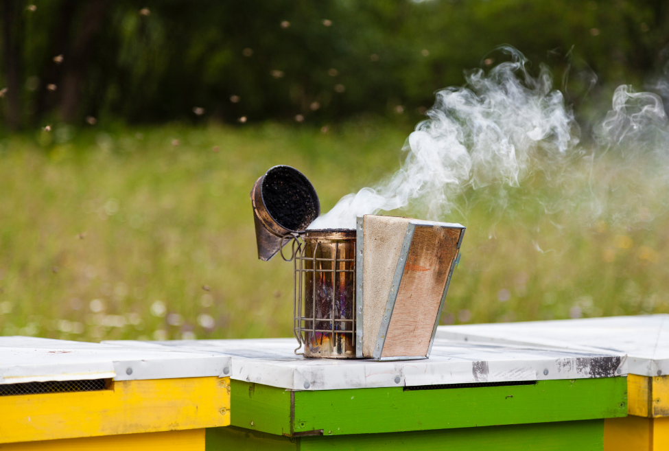 The Science Behind Beekeeping Smokers: How Smoke Affects Honeybees