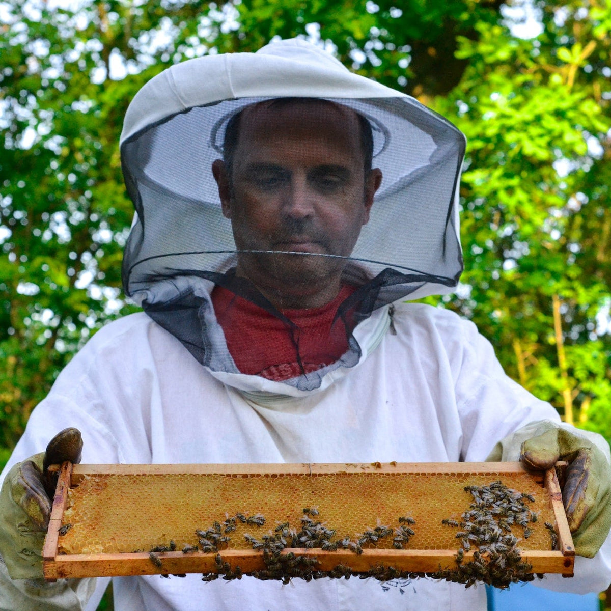 What to Wear Under a Beekeeping Suit? – OZ ARMOUR CO