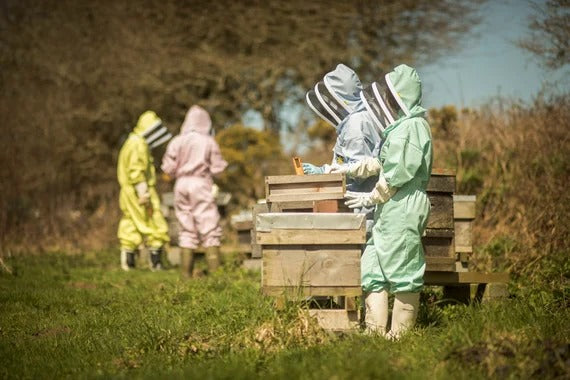 White Beekeeping Suits