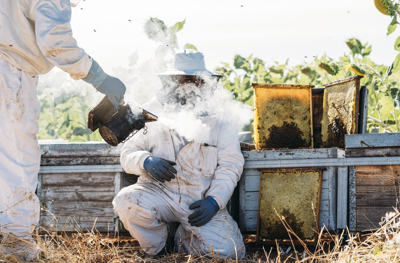 The Science Behind Beekeeping Smokers: How Smoke Affects Honeybees