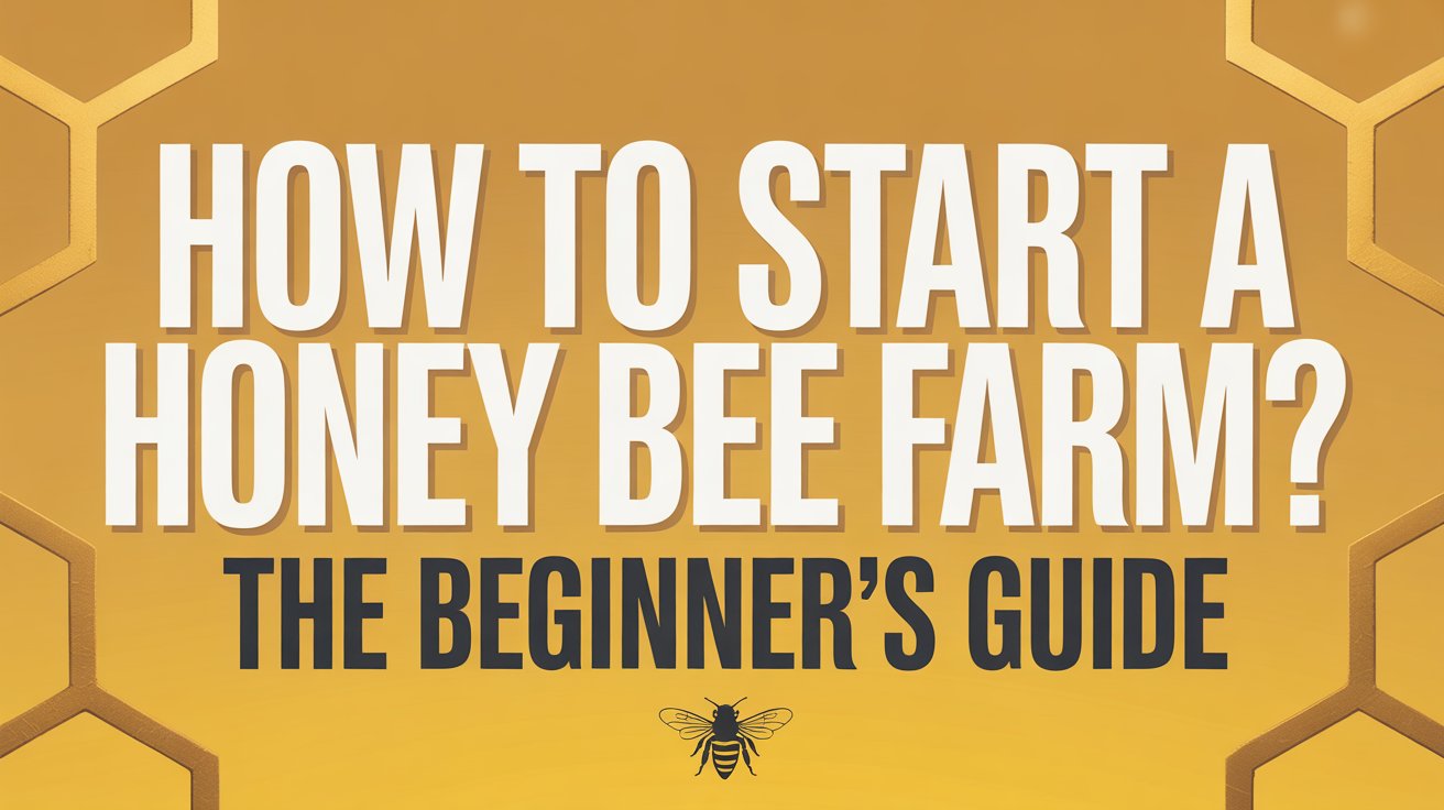 How To Start A Honey Bee Farm