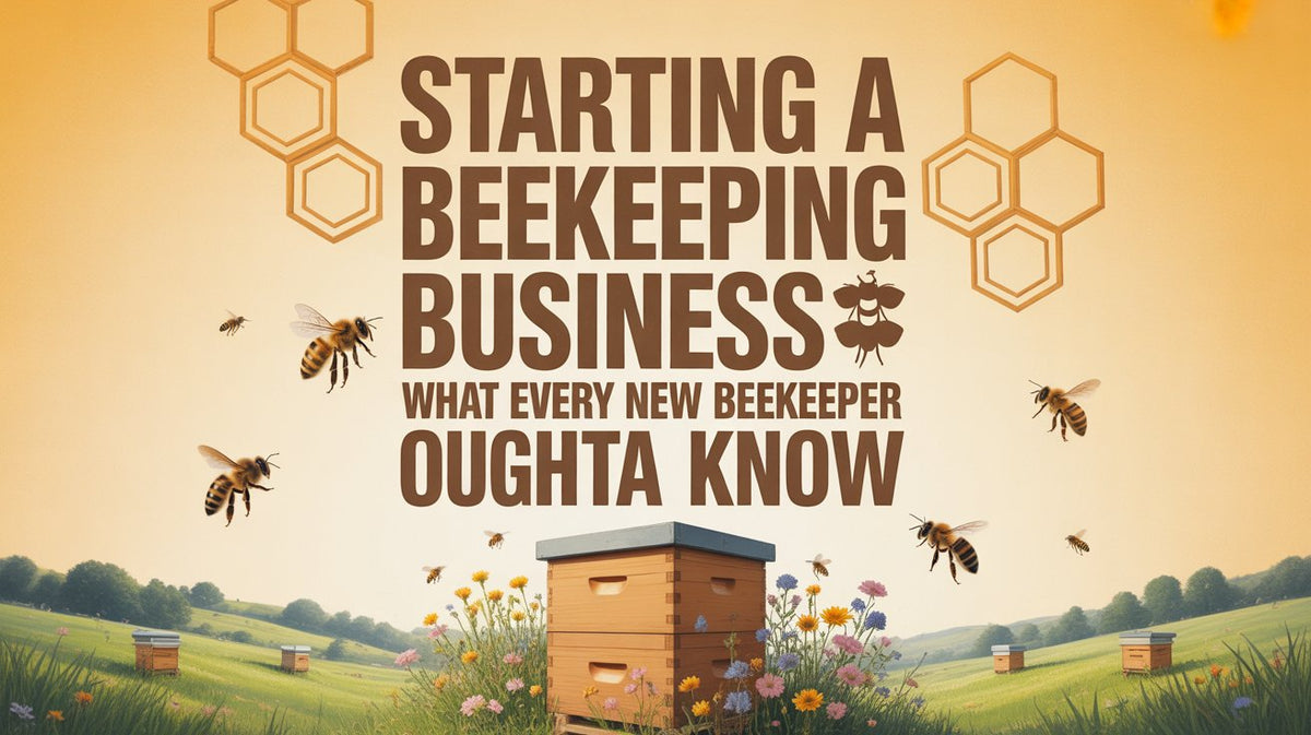 Démarrer une entreprise d'apiculture : ce que tout nouvel apiculteur d