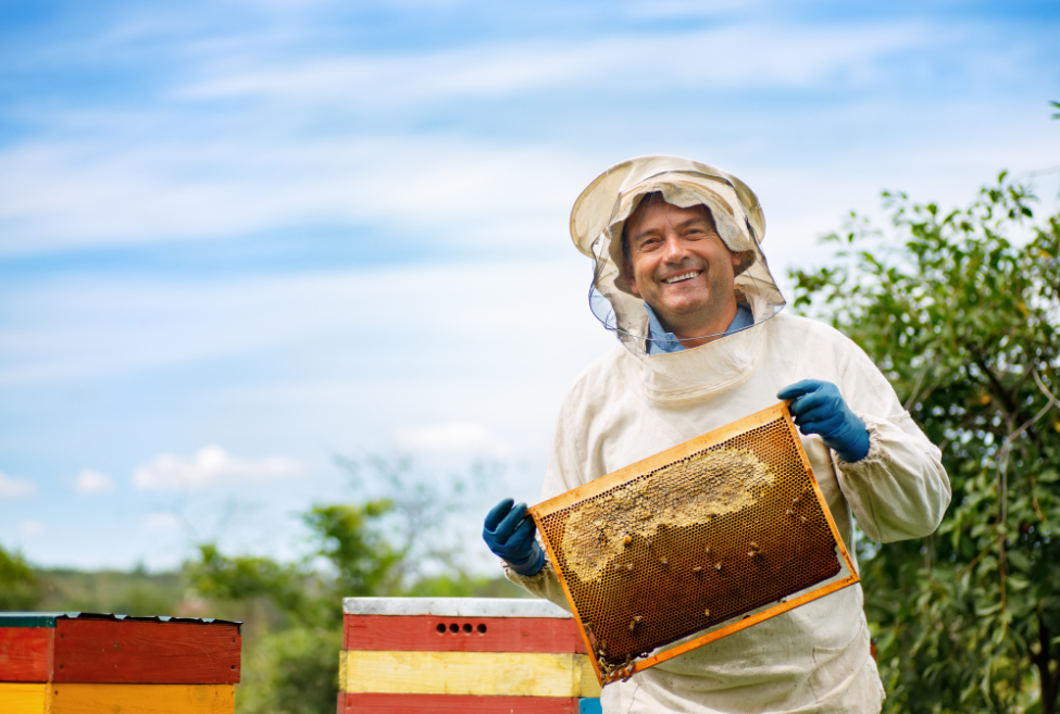 Stinging Truth: Evaluating the Effectiveness of Bee Suits in Wasp Defense