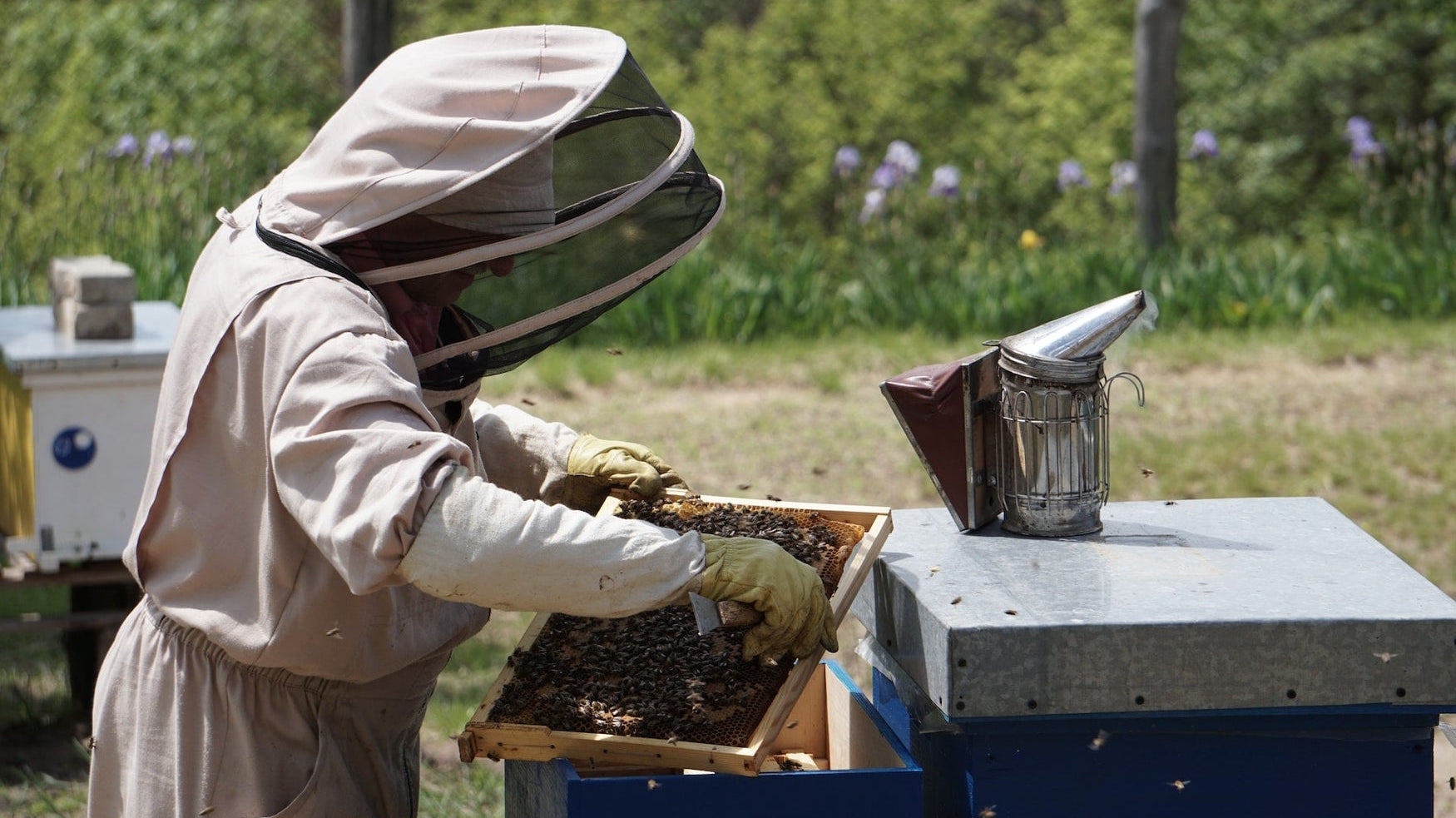 Best Beekeeping Suits- Avoid Getting Stung