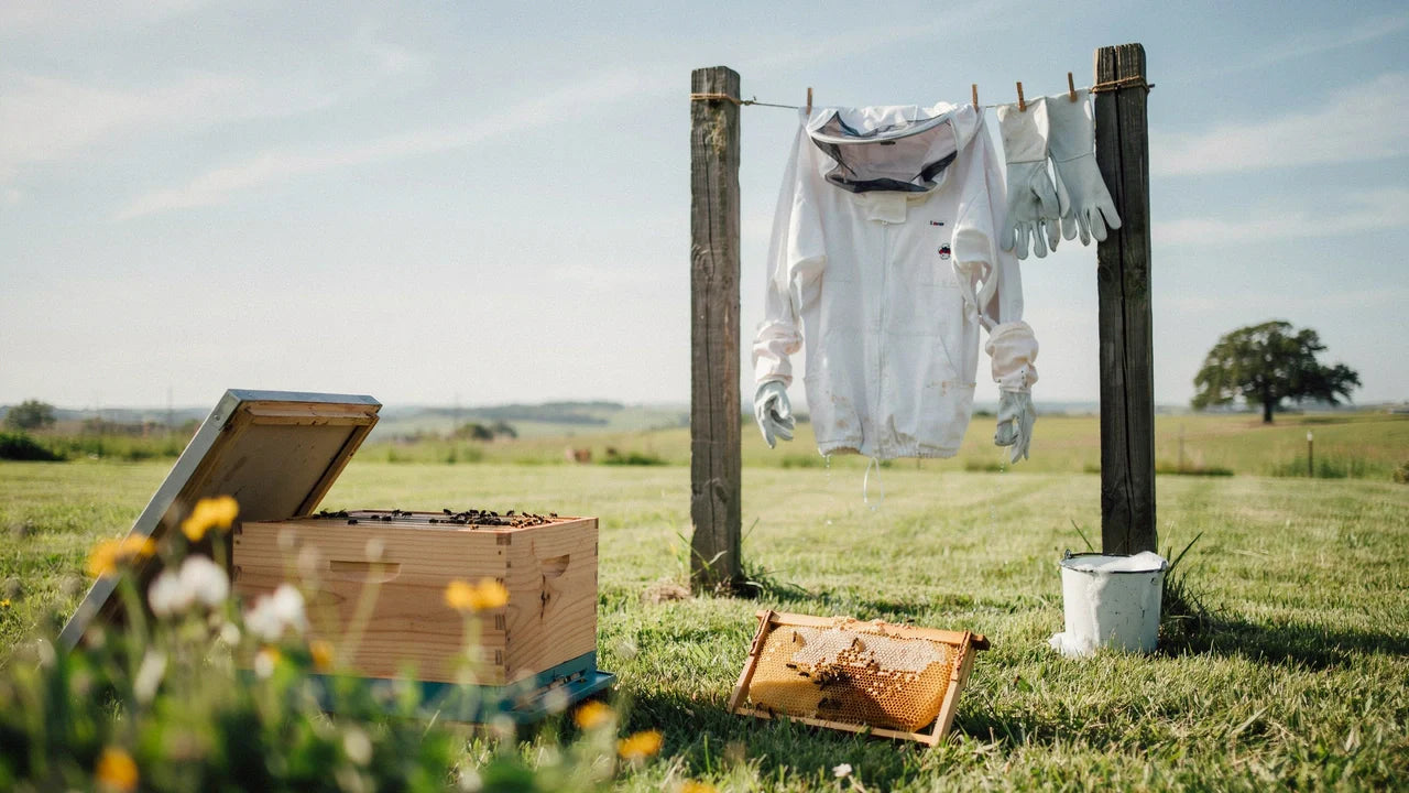  Cleaning Beekeeping Suits