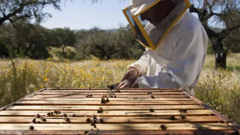 Beekeeper