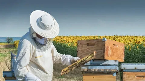 Man with Hive