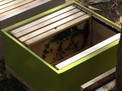  Perfect Beehive