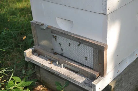 beehive robbing screen​