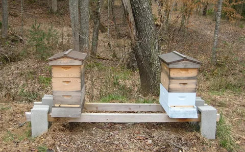 Bee Hive Stand