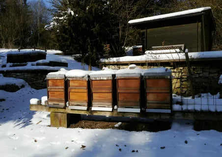 Beehive Insulation For Winter