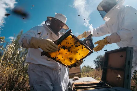 Man Beekeeping Suits