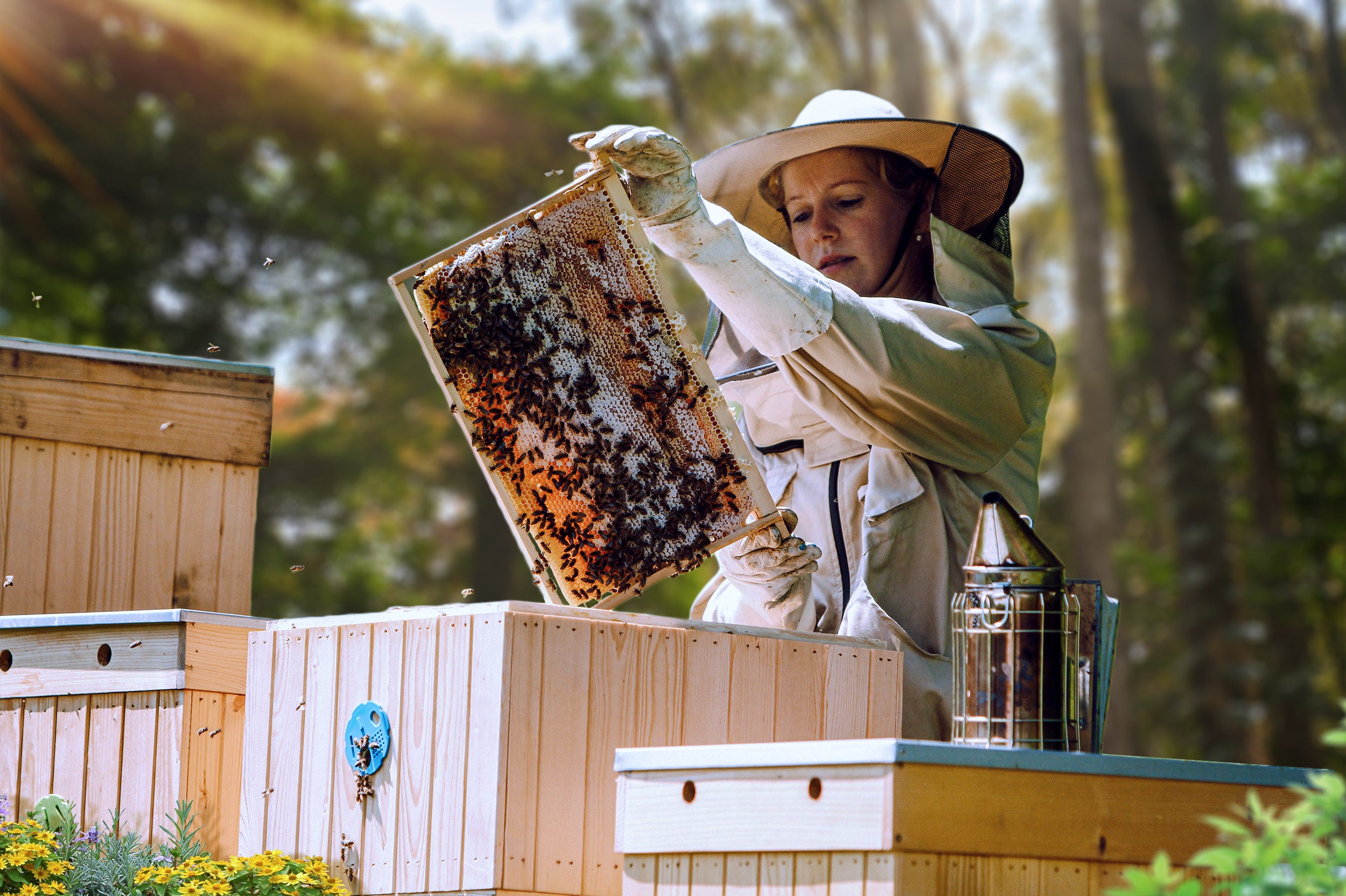 A female holding a beehive