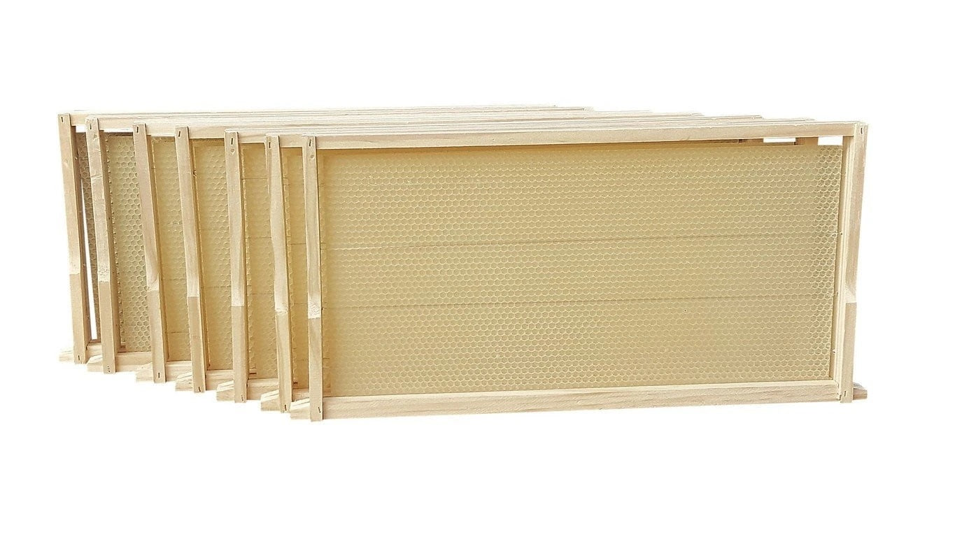 beehive assembled frames